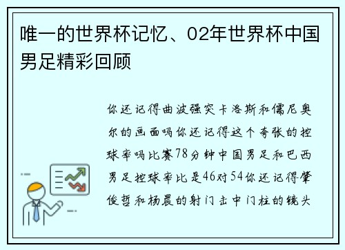 唯一的世界杯记忆、02年世界杯中国男足精彩回顾